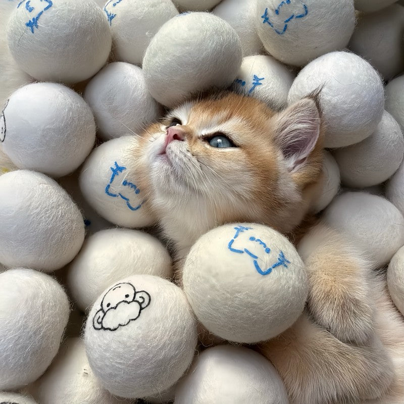 Playful Moments