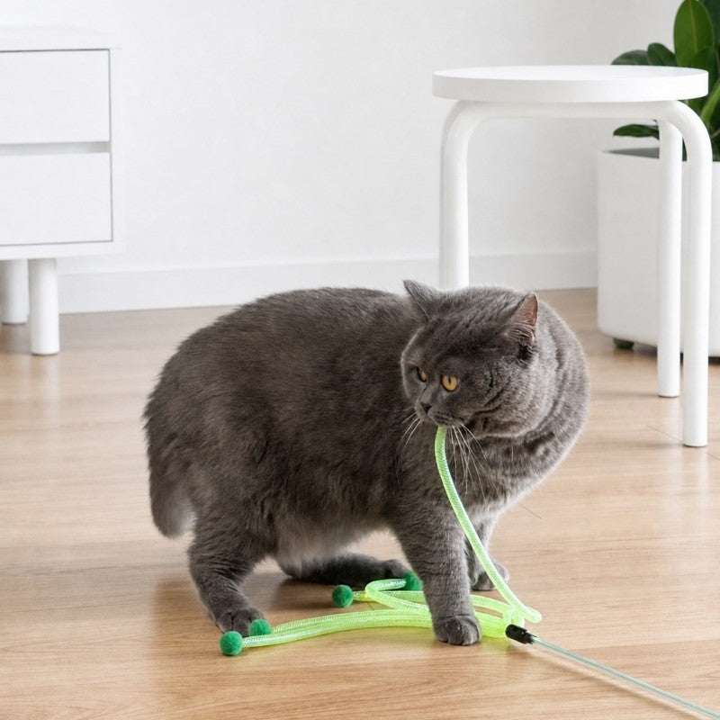 Green Mesh Teaser Wand Cat Toy