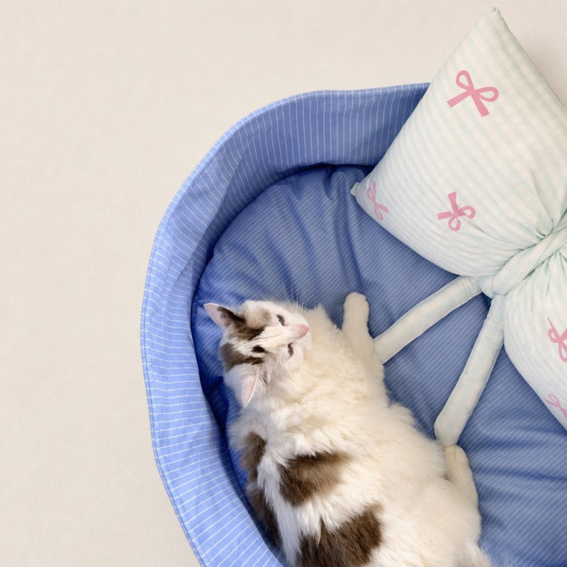 Striped Cat Bed with Decorative Pillow