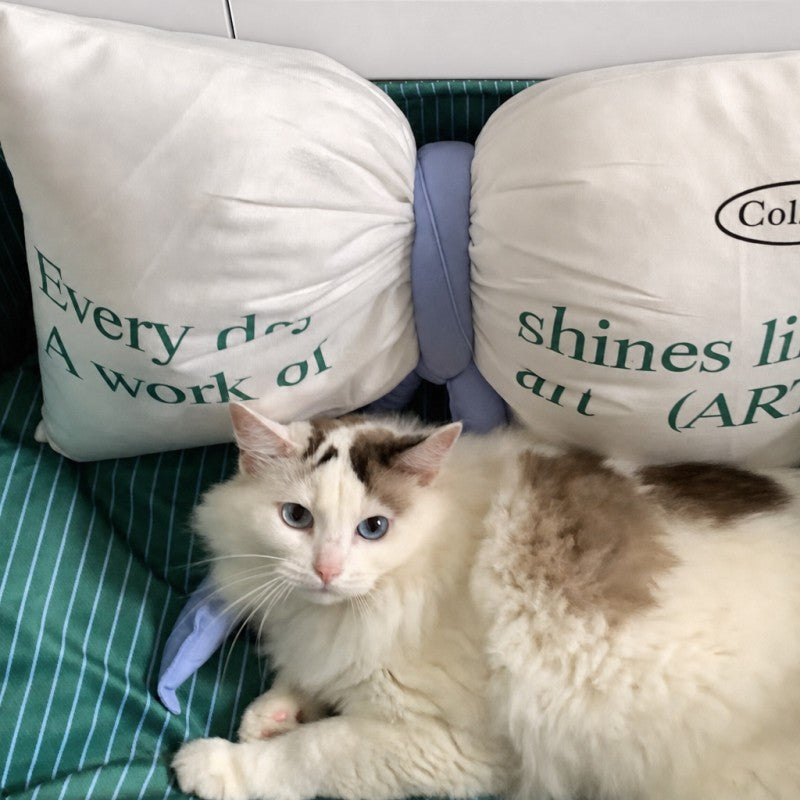 Striped Cat Bed with Decorative Pillow